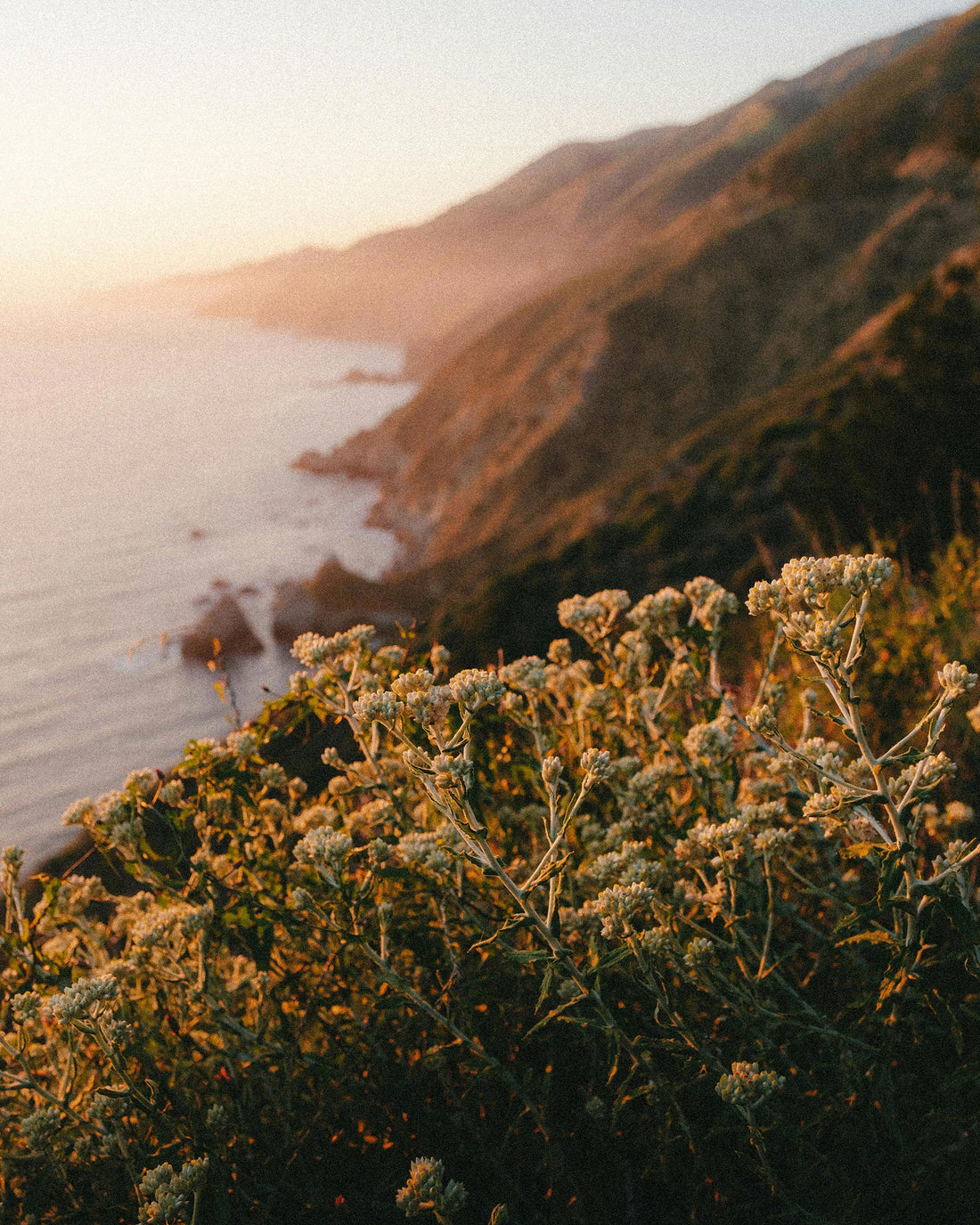 Beyond Corrosion: Navigating the Full Scope of Coastal Solar Challenges in 2026